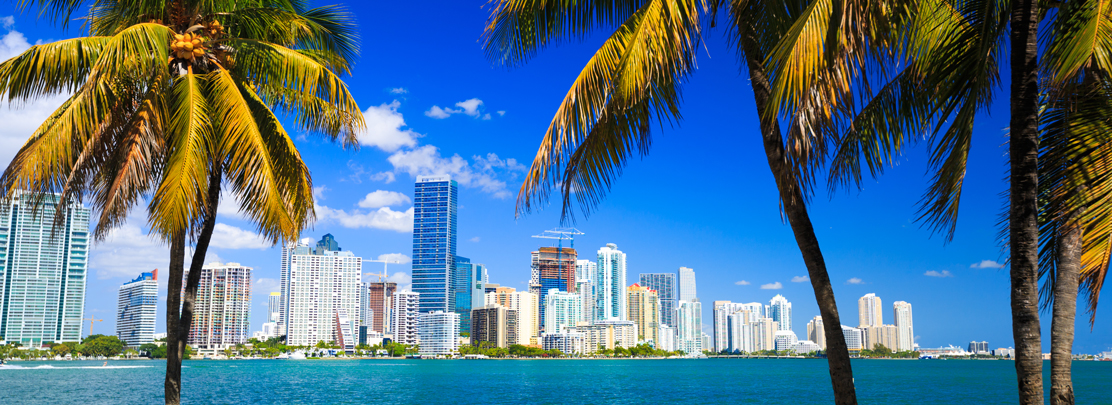 downtown miami skyline with palm trees in the foreground